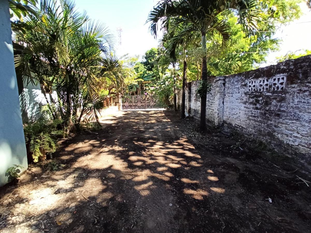 Ometepe House Bed and Breakfast Moyogalpa Buitenkant foto