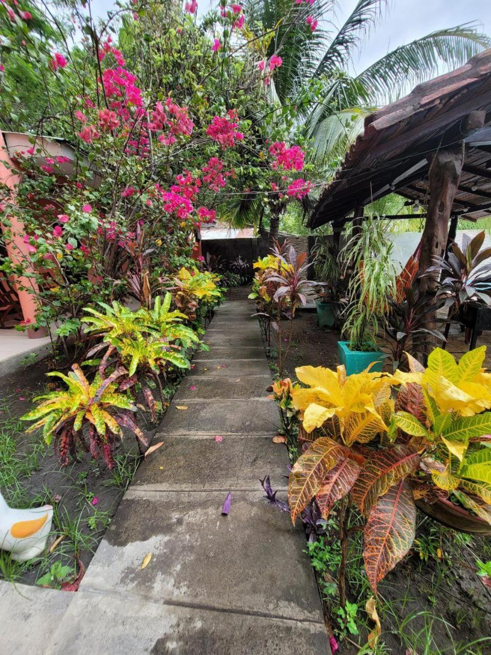 Ometepe House Bed and Breakfast Moyogalpa Buitenkant foto